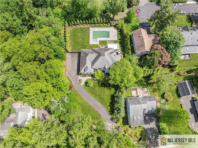 bird's eye view