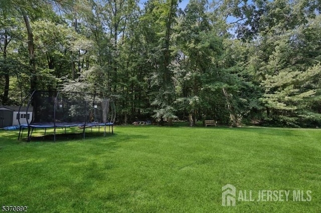 101 Pergola Ave, Monroe, NJ 08831 - view of green lawn featuring a trampoline and a shed