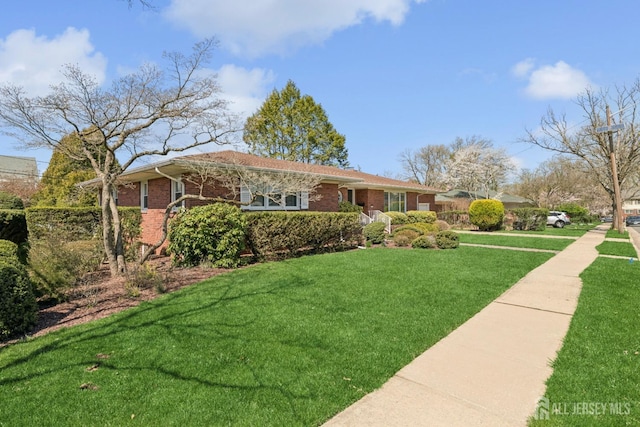 ranch-style home featuring a front lawn and brick siding
