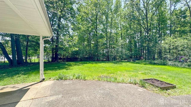 25 Sherwood Rd, Edison, NJ 08820 - photo 25
