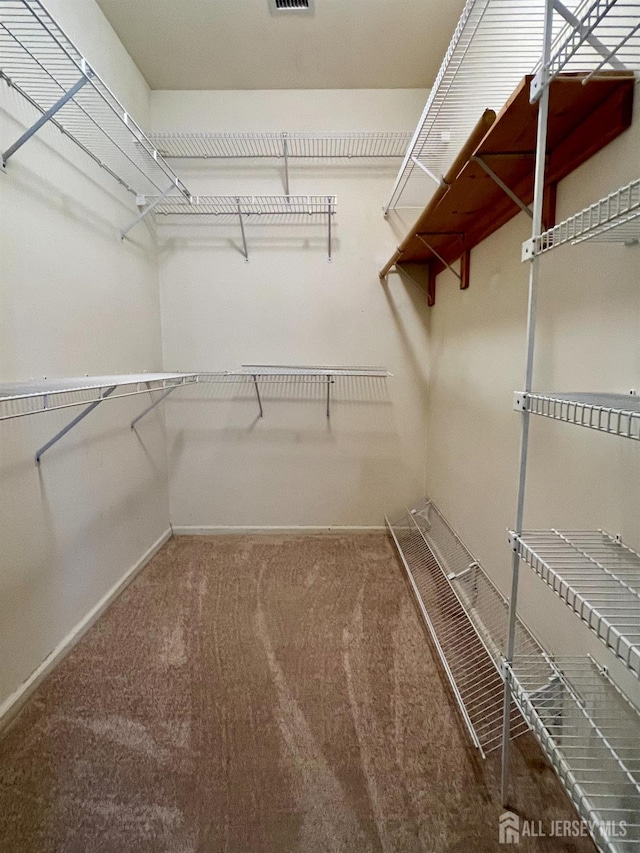 1 Walter Way, Monroe, NJ 08831 - spacious closet with carpet flooring
