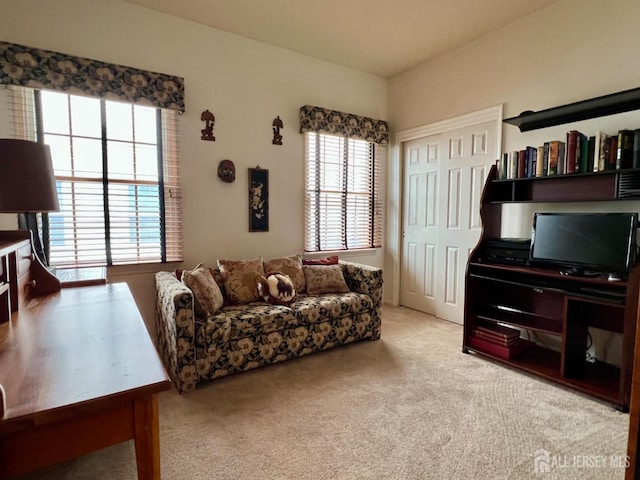 1 Walter Way, Monroe, NJ 08831 - living area with plenty of natural light and carpet floors