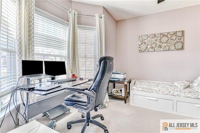 office with carpet