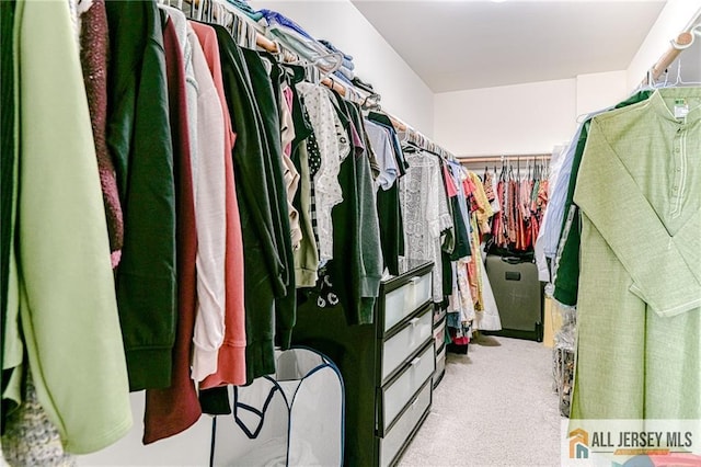 walk in closet with carpet floors