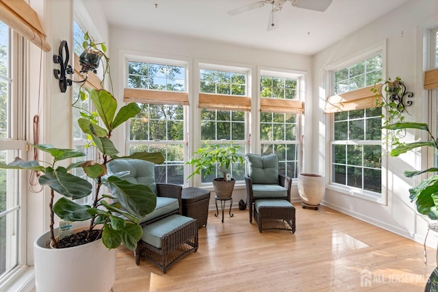 1 Mayfair Ln, Byram, NJ 07821 - sunroom / solarium with wood finished floors