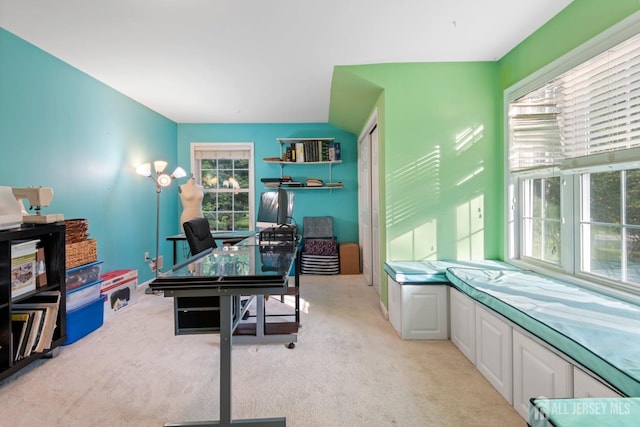 1 Mayfair Ln, Byram, NJ 07821 - office area featuring light carpet