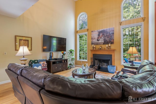 1 Mayfair Ln, Byram, NJ 07821 - living room featuring a high ceiling, baseboards, and wood finished floors