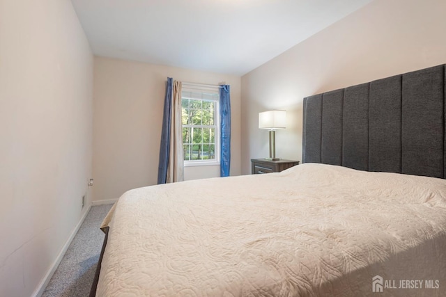 1 Mayfair Ln, Byram, NJ 07821 - bedroom with carpet flooring and baseboards