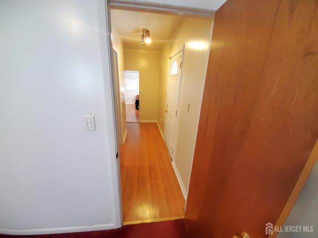 429 Wilfred Ave, Hamilton, NJ 08610 - hallway with light wood-type flooring and baseboards