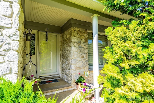 entrance to property with stone siding