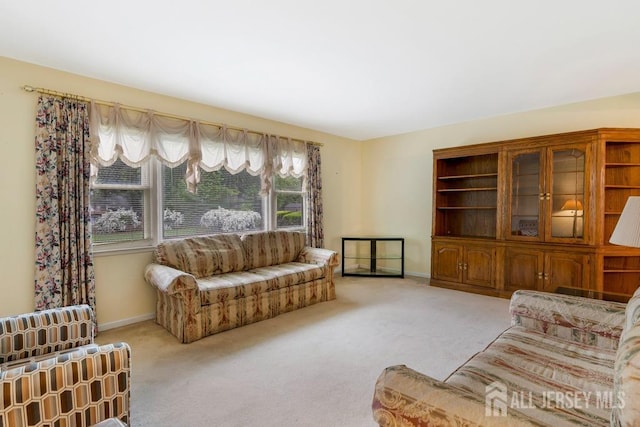 25 Orchard Rd, Middlesex, NJ 08846 - living room featuring carpet floors and baseboards