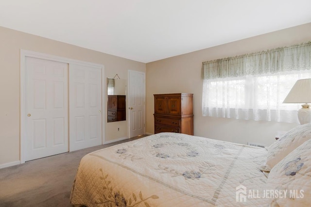 25 Orchard Rd, Middlesex, NJ 08846 - bedroom with a closet, carpet, and baseboards