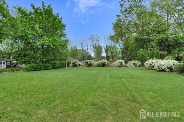 25 Orchard Rd, Middlesex, NJ 08846 - view of yard with view of wooded area