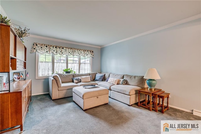 33 Larchmont Rd, Edison, NJ 08837 - living room featuring carpet, crown molding, and baseboards