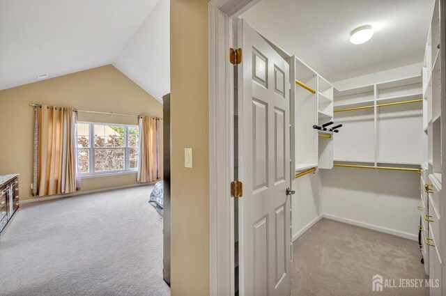 27 Rue Chagall, Franklin, NJ 08873 - walk in closet with carpet floors and vaulted ceiling