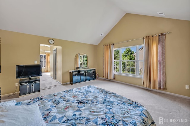27 Rue Chagall, Franklin, NJ 08873 - carpeted bedroom with high vaulted ceiling and baseboards