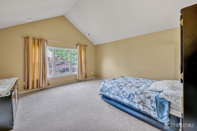 27 Rue Chagall, Franklin, NJ 08873 - bedroom featuring vaulted ceiling and light carpet