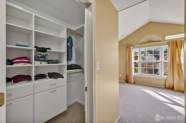 27 Rue Chagall, Franklin, NJ 08873 - spacious closet featuring carpet floors and vaulted ceiling