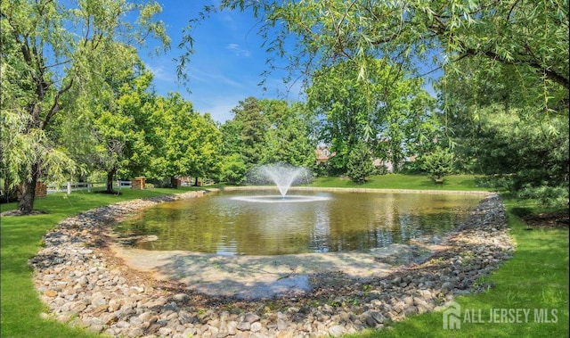 view of home's community with a lawn and a water view