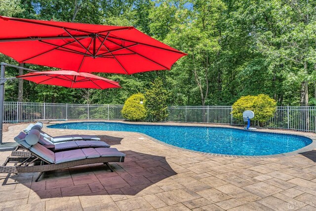 view of pool featuring a patio area