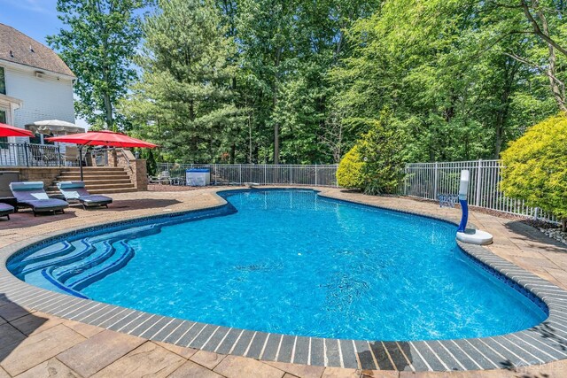 view of pool featuring a patio area