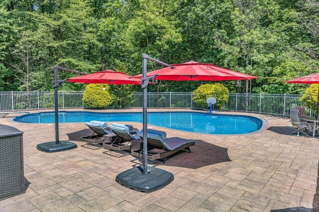 view of pool with a patio area