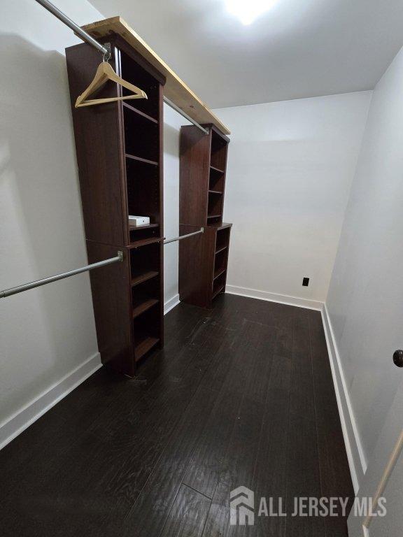 spacious closet with dark wood finished floors