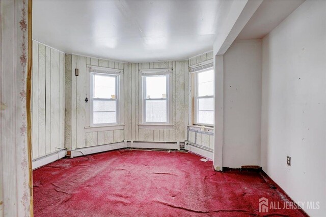 spare room with wooden walls and carpet flooring