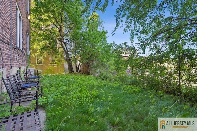 57 Corbin Ave Unit 24, Jersey City, NJ 07306 - view of yard