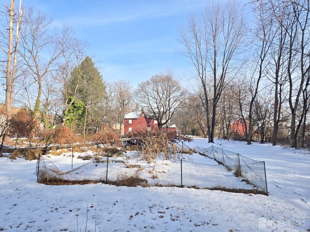 view of snowy yard