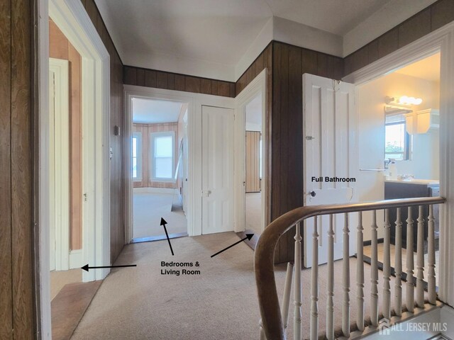 bedroom with multiple windows, light carpet, and wood walls