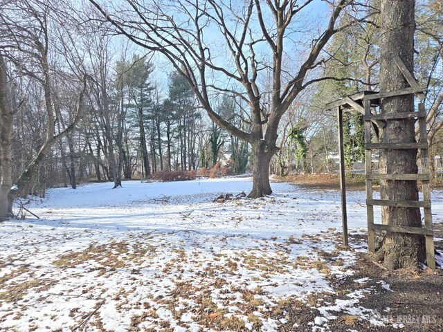 view of snowy yard