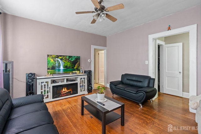 349 Livingston Ave, New Brunswick, NJ 08901 - living room featuring a ceiling fan, wood finished floors, and a glass covered fireplace
