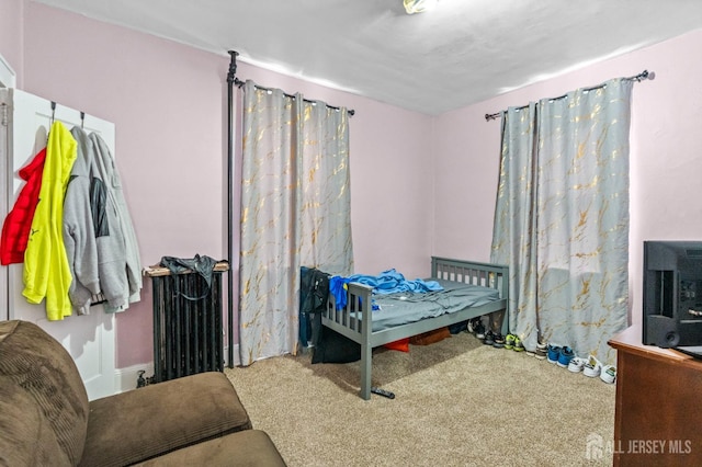 349 Livingston Ave, New Brunswick, NJ 08901 - view of carpeted bedroom