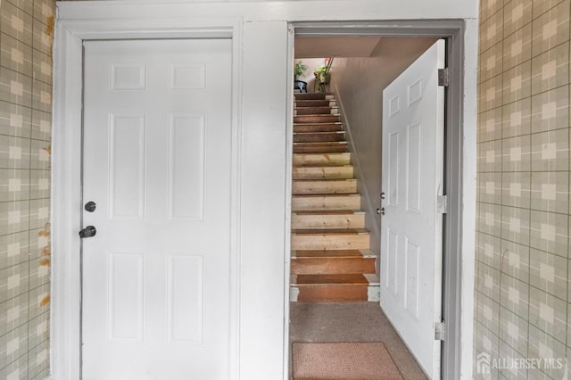 349 Livingston Ave, New Brunswick, NJ 08901 - stairs featuring carpet