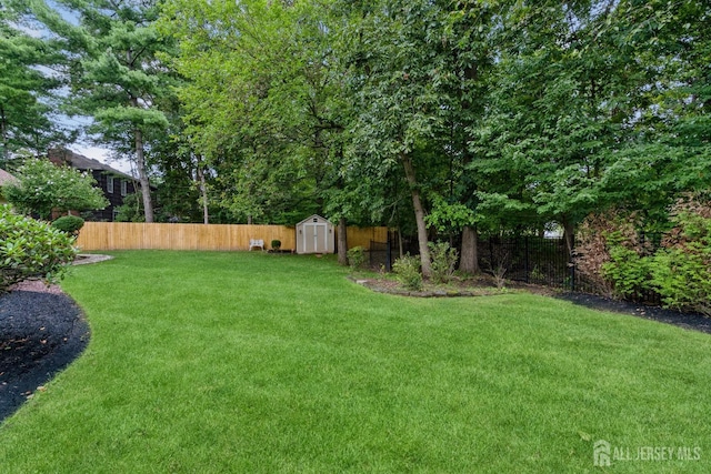 view of yard with a shed