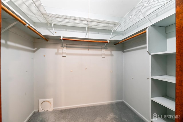 19 Redcoat Dr, East Brunswick, NJ 08816 - spacious closet featuring carpet floors