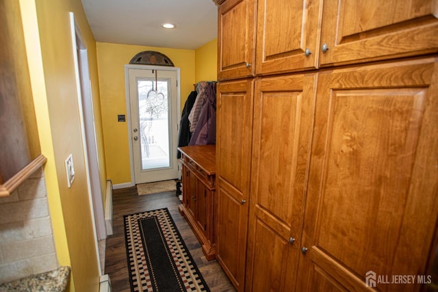 entryway featuring dark hardwood / wood-style floors