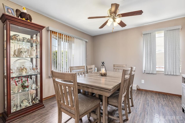 164 Holly St, Port Reading, NJ 07064 - dining room featuring healthy amount of natural light, ceiling fan, and dark wood-style flooring