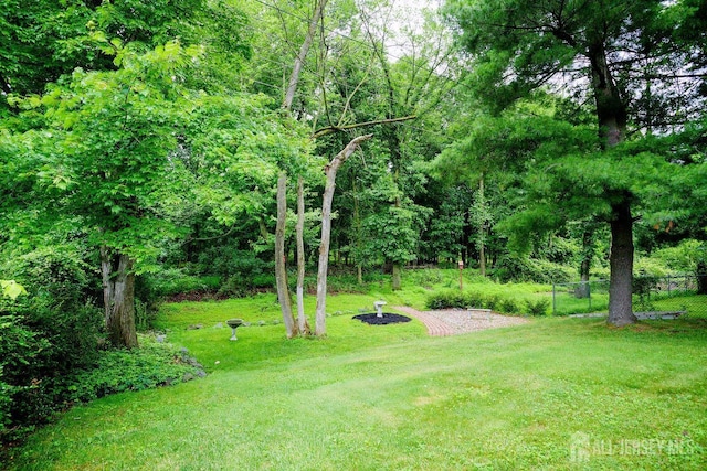 20 Sagamore Ave, Edison, NJ 08820 - view of yard featuring a forest view
