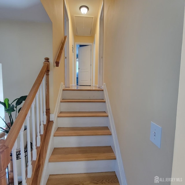 646 Franklin Dr, Perth Amboy, NJ 08861 - photo 36