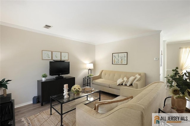 516 Great Beds Ct, Perth Amboy, NJ 08861 - living area featuring light wood-style flooring, crown molding, and baseboards