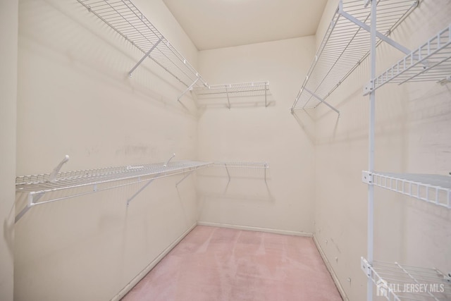 11 Wintons Way, Monroe, NJ 08831 - walk in closet with light colored carpet