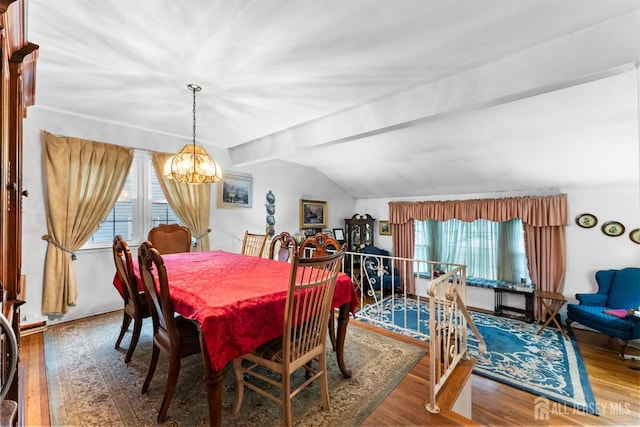 25 Turner Ave, Edison, NJ 08820 - dining area featuring a chandelier, healthy amount of natural light, and wood finished floors