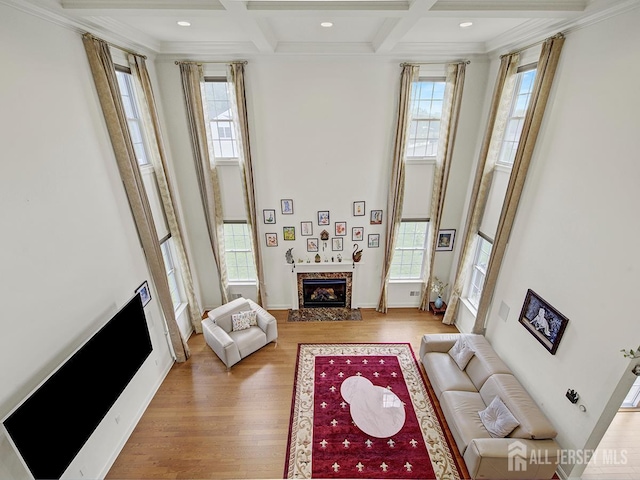 6 Condor Ct, South Brunswick, NJ 08852 - living area featuring a high end fireplace, healthy amount of natural light, wood finished floors, coffered ceiling, and beam ceiling