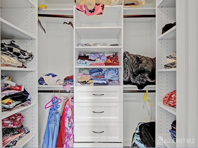 6 Condor Ct, South Brunswick, NJ 08852 - view of spacious closet