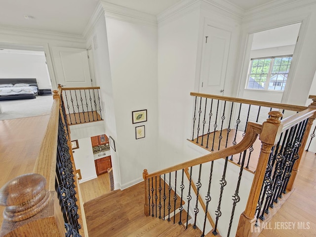 6 Condor Ct, South Brunswick, NJ 08852 - stairs featuring wood finished floors, baseboards, and crown molding