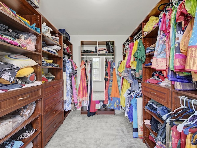 6 Condor Ct, South Brunswick, NJ 08852 - walk in closet with carpet flooring
