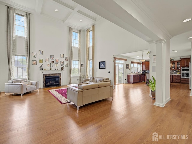 6 Condor Ct, South Brunswick, NJ 08852 - living room featuring decorative columns, a high ceiling, a premium fireplace, healthy amount of natural light, and light wood-style flooring