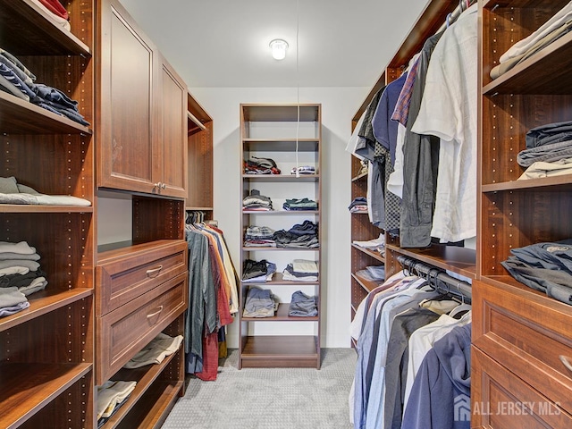 6 Condor Ct, South Brunswick, NJ 08852 - walk in closet featuring carpet flooring